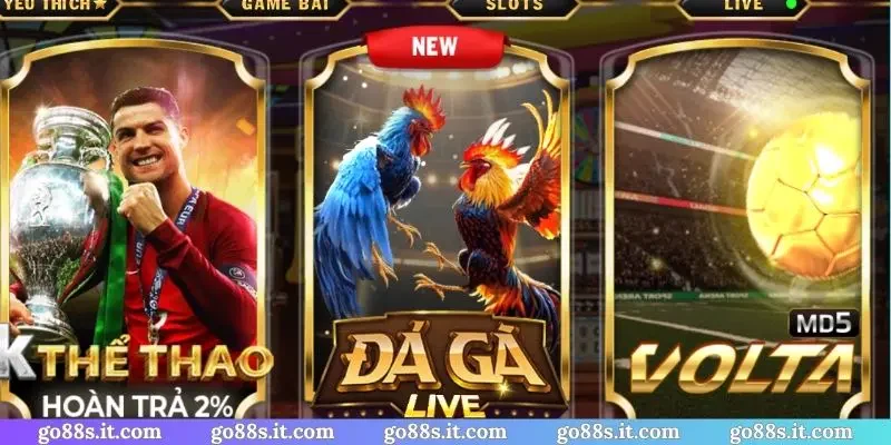 Hệ thống trò chơi đỉnh cao, cá cược thể thao GO88